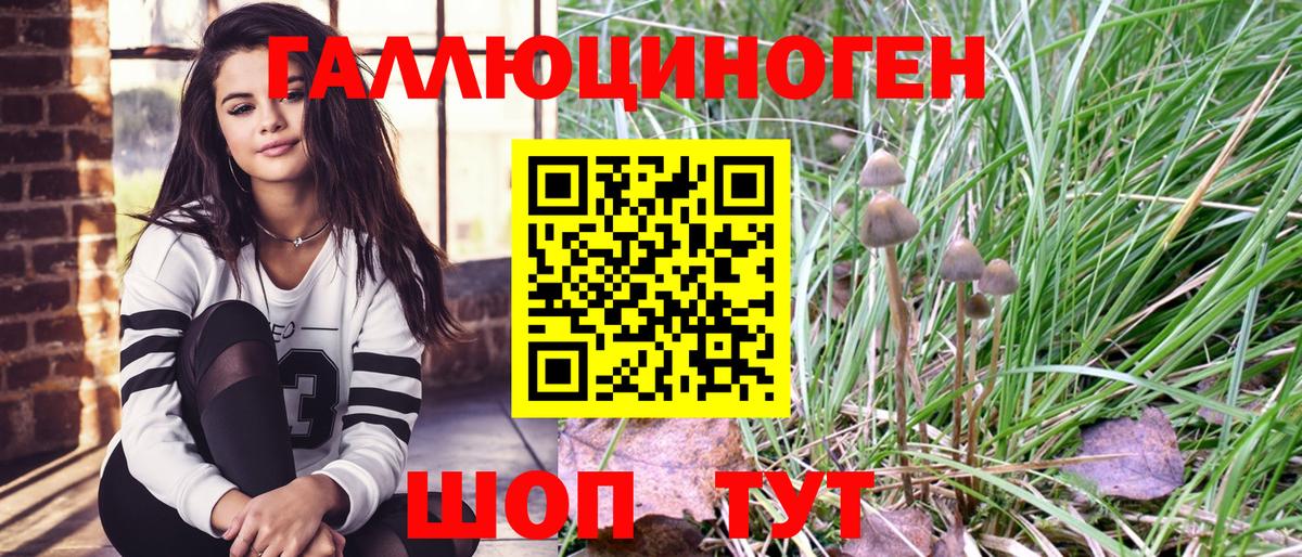 Псилоцибиновые грибы MAGIC MUSHROOMS Ивантеевка